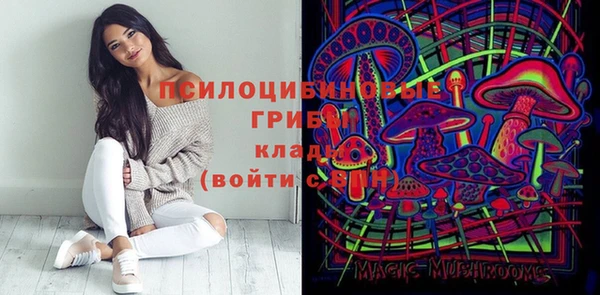 ПСИЛОЦИБИНОВЫЕ ГРИБЫ Армянск