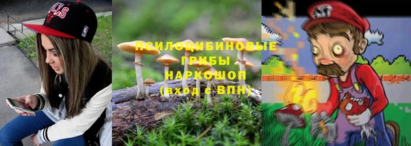 ПСИЛОЦИБИНОВЫЕ ГРИБЫ Армянск
